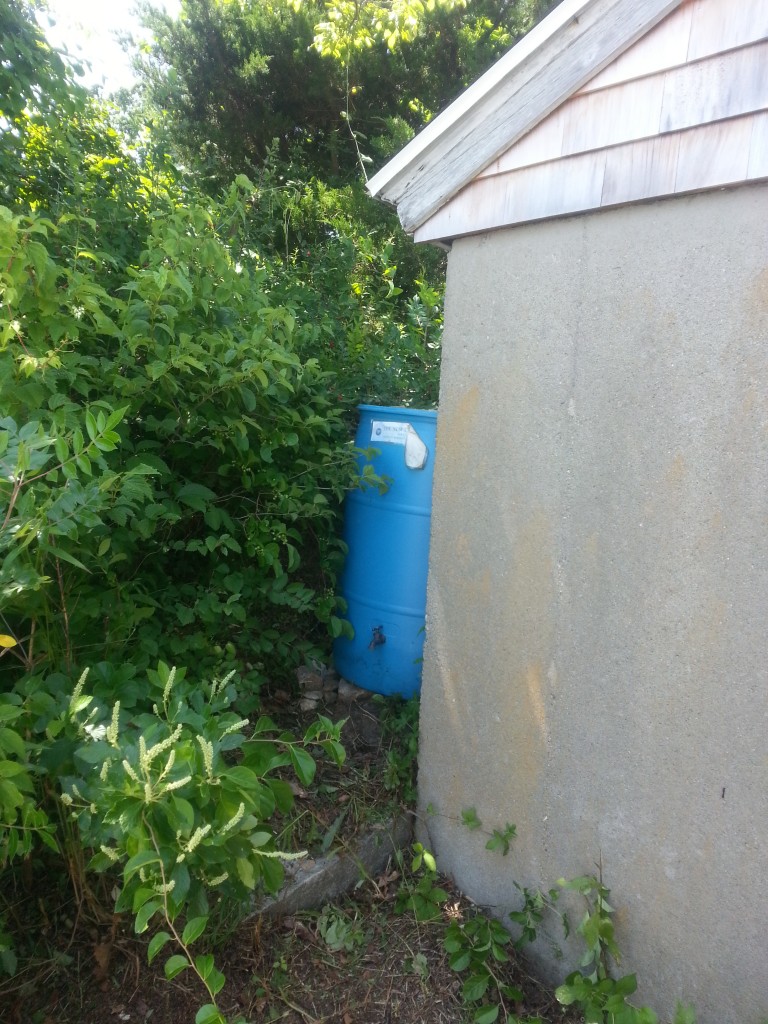 Our new boathouse rain barrel courtesy of madge