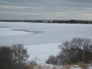 Quonochontaug Pond - February 2015