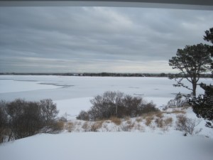 Quonochontaug Pond - February 2015